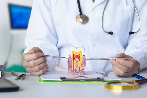 Best Knocked-Out Tooth Emergency  in Mount Arlington, NJ